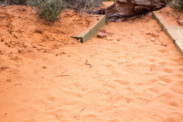 Arches National Park & Dead Horse Point State Park - Utah 2025