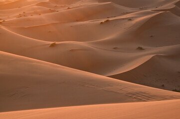 dunes de Merzouga (Maroc)