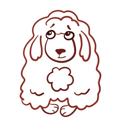 Very fluffy shy brown cloud-like dog