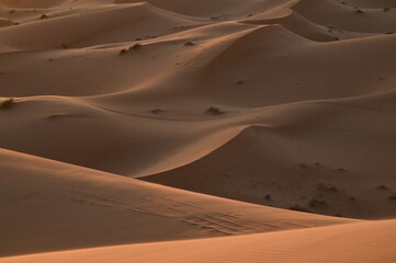 dunes de Merzouga (Maroc)