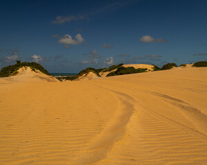 Golden sand dunes with vehicle tracks under deep blue sky, Brazil