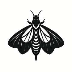 Rough Unsigned Expressive Abstract Art