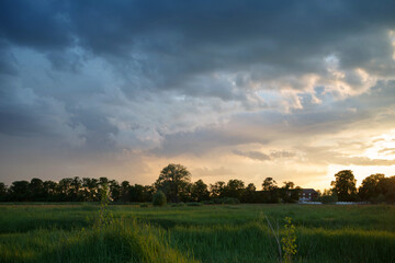 Summer landscape with bright green grass in a field, trees, rural houses on the horizon and a...