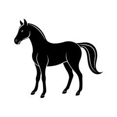 Obraz premium black horse silhouette vector art