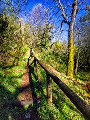 Escalera en el Valle de Iruelas