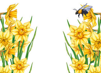 Yellow watercolor flowers and bumblebee. Watercolor illustration of a meadow with flowers and flying bees. Flower meadow on a summer day. Frame of flowers and bees