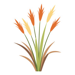 Isolated against a white backdrop, the vibrant orange lily flower showcases its natural floral beauty