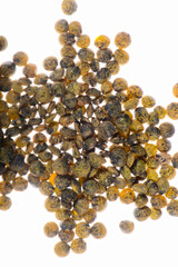 Linse, Erve  Küchen-Linse,  Lens culinaris