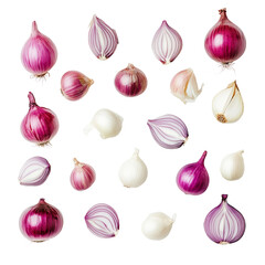 onion isolated on white background top view
