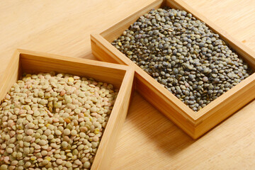 Linse, Erve Küchen-Linse, Lens culinaris