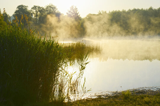 See, Teich, Wasserspiegelung