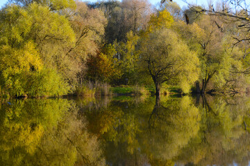 See, Teich, Wasserspiegelung