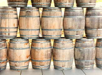 Wine barrels in wine-vaults in order