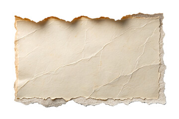 Fototapeta premium Torn Paper with Rustic Edges