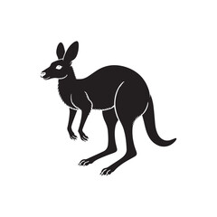 kangaroo