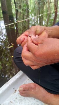 Man's hands preparing a fishing bait with worm on a boat. Fisherman's fingers string a earthworm on a fish hook on a canoe. Amazon jungle river. Flooded forest.