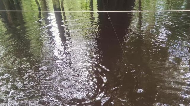 Fish trapped on longline bait. Catching a fish with passive technique of surface longline. Fish hook attached to a fishing line. Caught with a handline or a longline. Artisanal amazon fishing way. 4k