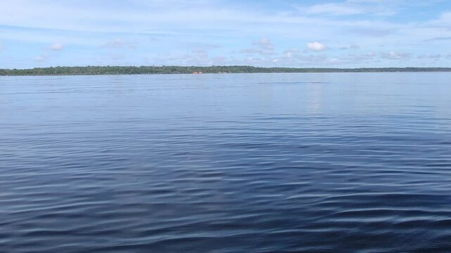 Pink river dolphins swimming in Amazon river's water. Boto cor de rosa. Delf&iacute;n Rosado del Amazonas. 4k.