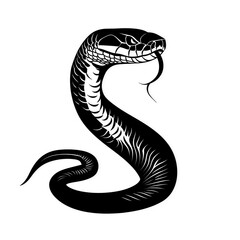 Fototapeta premium Cobra roaring silhouette illustration isolated on transparent or white background, perfect for wildlife, danger, reptile, and nature-themed design projects.