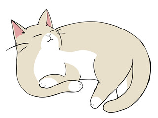 クリーム猫 ひじおき	