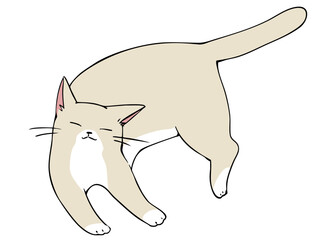 クリーム猫 リラックス	