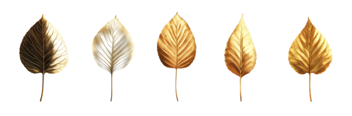 Set of Gold Leaves, illustration, isolated over on transparent white background