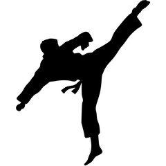 vector silhouette of a man taekwondo