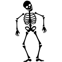 human skull and bones