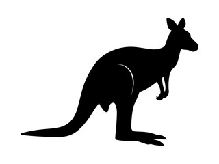 kangaroo vector illustration