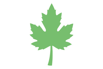 Simple Green Leaf Illustration for Organic and Natural Concepts