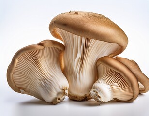 surreal photography isolated maitake mushrooms on white background high resolution stock image