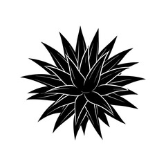 bromeliad with spiky leaves silhouette vector