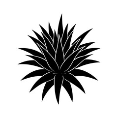 bromeliad with spiky leaves silhouette vector