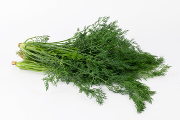 Fresh Green Dill Isolated on White Background
