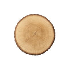 Cross section of tree trunk showing detailed growth rings, highlighting natural texture and age of wood. circular pattern is clear and distinct