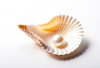 A white shell with a pearl in it.