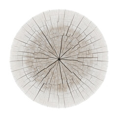 Fototapeta premium Cross section of tree trunk displays intricate growth rings and natural cracks, showcasing passage of time and beauty of nature patterns