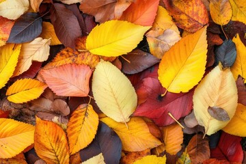 Autumnal leaf tapestry