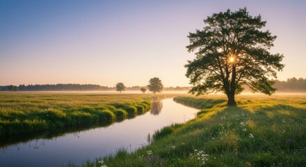 Summer sunlight over river and tree in natural scenery.