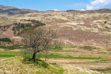 Farms and Mountains over River Dochart, Road A85, Perthshire, Scotland, UK