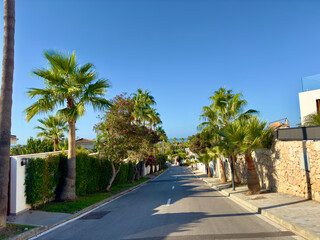 Fototapeta premium palm trees along a street with a view towards the Mediterranean Sea, Marbella, Costa del Sol, Andalusia, Spain