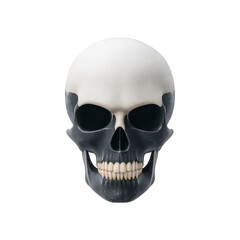 Fototapeta premium Realistic human skull illustration with smooth texture and detailed features, set against plain background. skull is depicted in frontal view, showcasing its anatomical structure