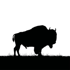 Solid black silhouette of a bison standing