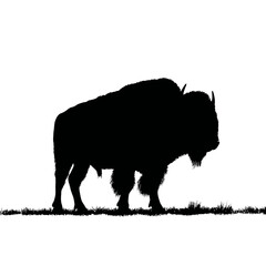 Solid black silhouette of a bison standing