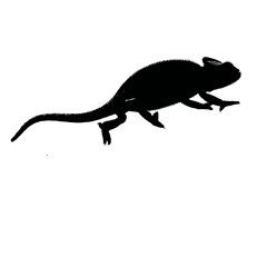 Solid black silhouette of a chameleon hunting