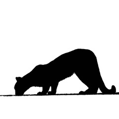 Solid black silhouette of a cougar crouching
