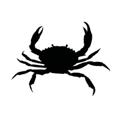 Solid black silhouette of a crab scuttling