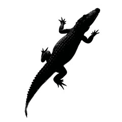 Solid black silhouette of a crocodile lurking