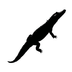 Solid black silhouette of a crocodile swimming