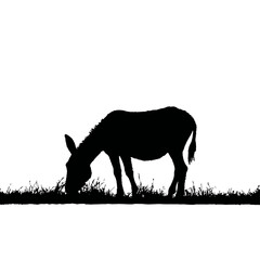 Solid black silhouette of a donkey grazing